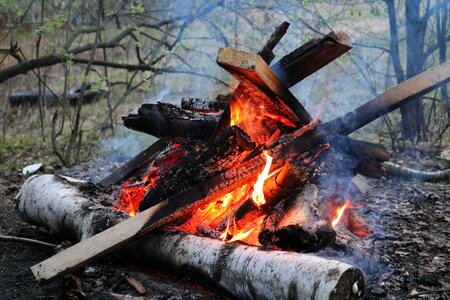 Smoke firewood uhl