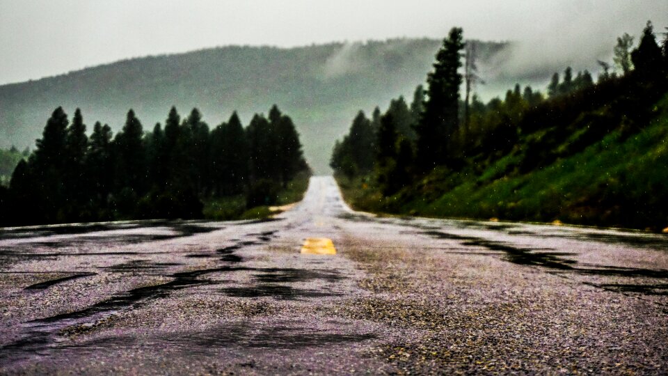 Road travel trees