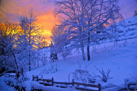 Nature winter vosges