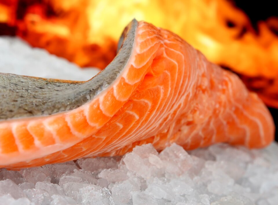 Barbeque bass bbq