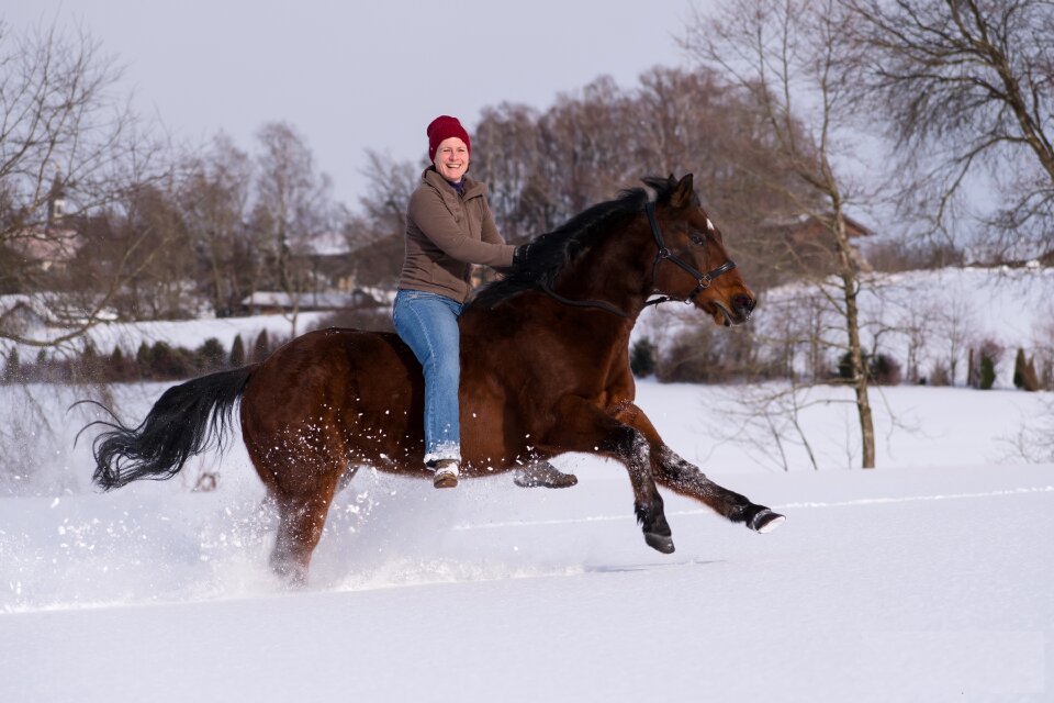 Equestrian human western