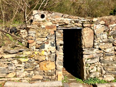 Old Cellar, Marshall, NC photo