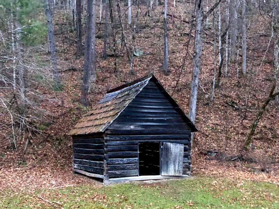 Palmer Shed, Cataloochee, NC 