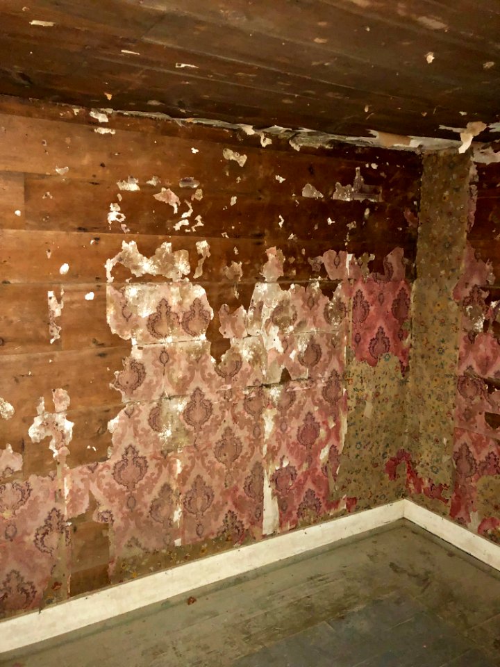Palmer House, Cataloochee, NC 