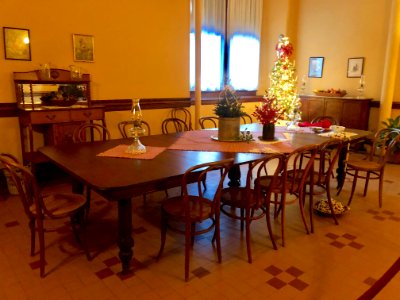 Servants' Dining Room, Biltmore House, Biltmore Estate, As… 