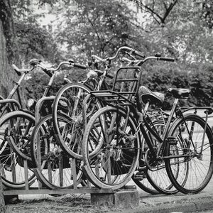 Netherlands bike cycle photo