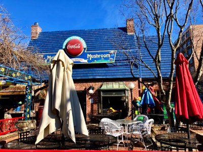 The Mellow Mushroom, Asheville, NC 