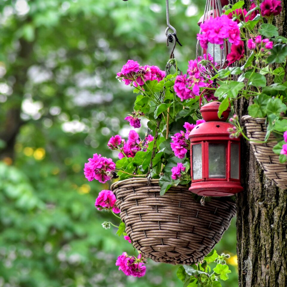 Street spring colorful