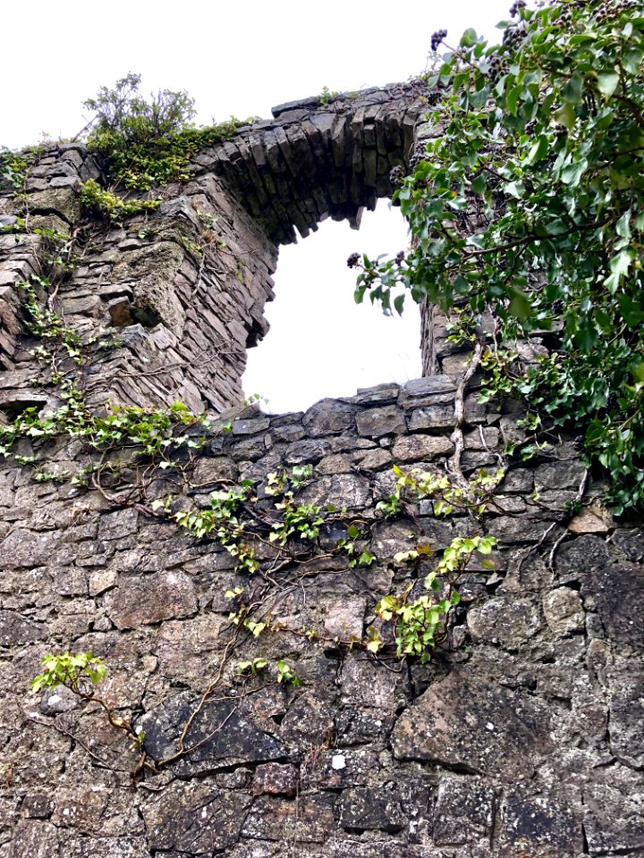 Old Ardmulchan Church, Ard Maoíchon, Éire 