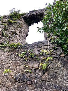 Old Ardmulchan Church, Ard Maoíchon, Éire 