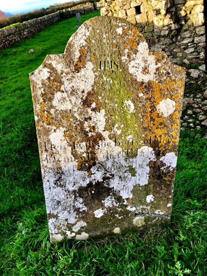 Tombstone, Hore Abbey, Caiseal, Éire 