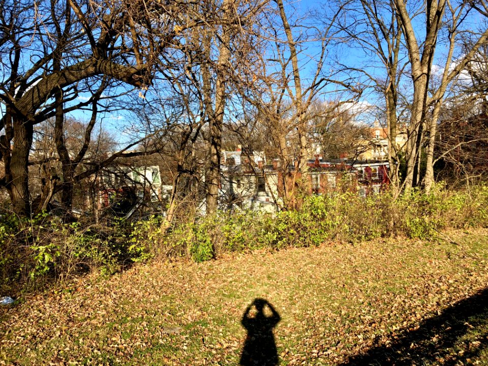 Bellevue Hill Park, CUF, Cincinnati, OH 