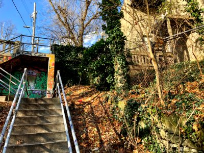 Upper Ohio Avenue Steps, CUF, Cincinnati, OH 
