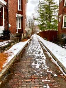 Medill Alley, Northside, Cincinnati, OH 