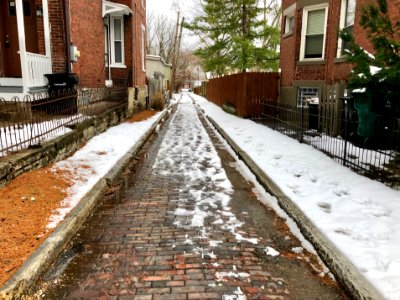 Medill Alley, Northside, Cincinnati, OH 