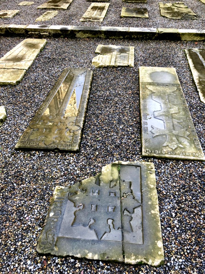 Graveyard, Cashel Cathedral, Rock of Cashel, Caiseal, Éire… 