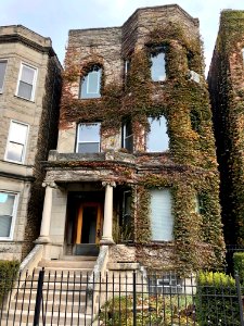 North Sheffield Avenue, Lakeview, Chicago, IL 