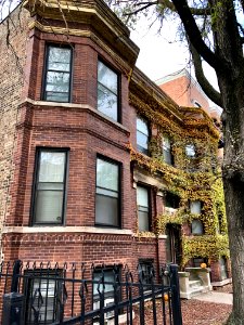 North Wilton Avenue, Lakeview, Chicago, IL 