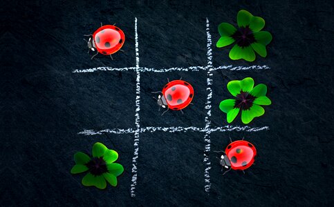 Tic tac toe lucky ladybug puzzles photo