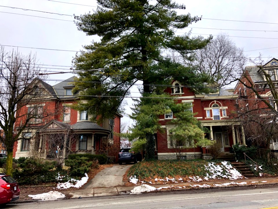 Hamilton Avenue, Northside, Cincinnati, OH 