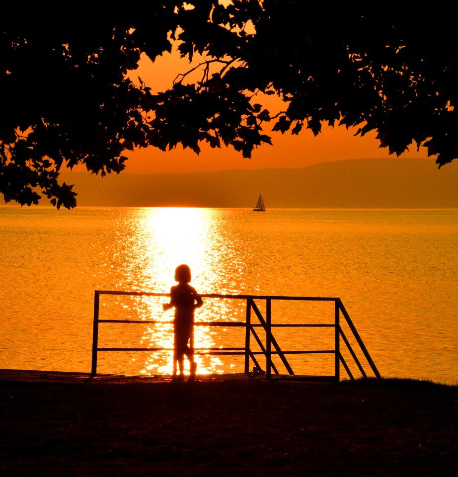 Little girl dusk wood