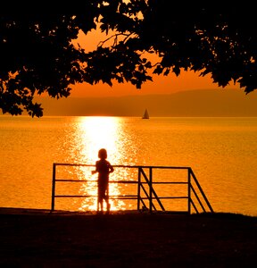 Little girl dusk wood photo