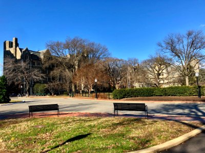 Copley Lawn, Georgetown University, Georgetown, Washington… 