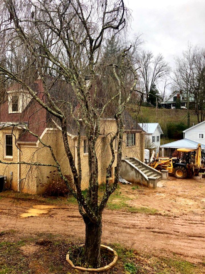 Schulman House, Sylva, NC 