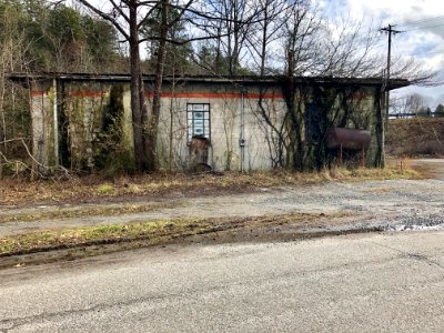 Old HJ Davis Phillips 66 Service Station, Whittier, NC 