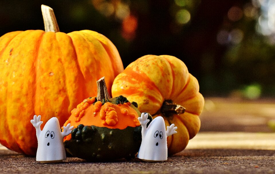 Happy halloween ghost autumn