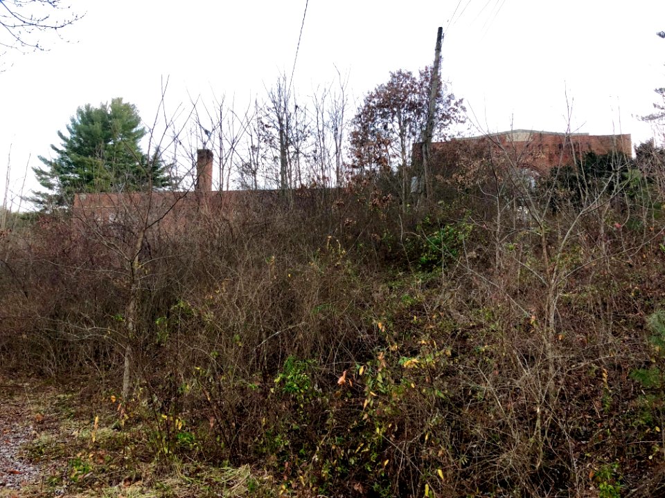Old Morning Star School, Morning Star, NC 