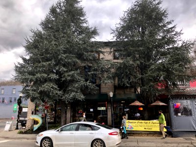 Everett Street, Bryson City, NC 