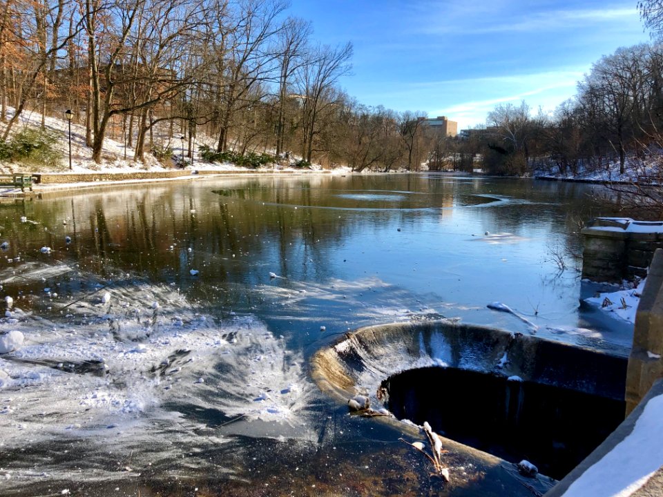 Burnet Woods Lake, Clifton, Cincinnati, OH 