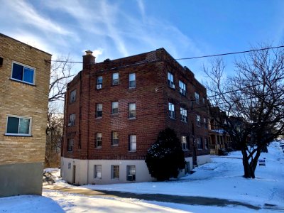 Terrace Avenue, Clifton, Cincinnati, OH 