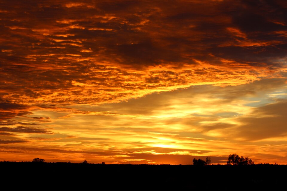 Outback brown sky brown sunrise