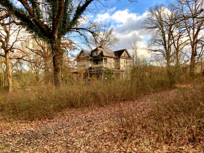 Trull Road, Marble, NC 