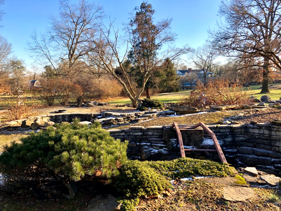 Japanese Garden, Laurel Court, Belmont Avenue, College Hil… 