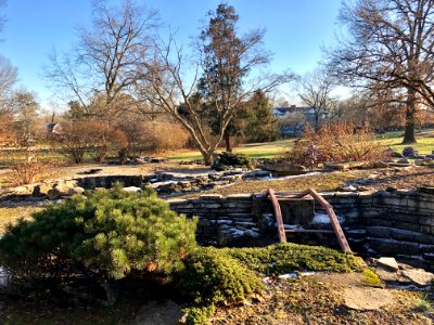 Japanese Garden, Laurel Court, Belmont Avenue, College Hil… 