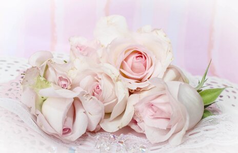 Pink dusky pink vintage