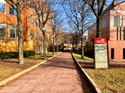 Walkway, University of Cincinnati, Corryville, Cincinnati,… 