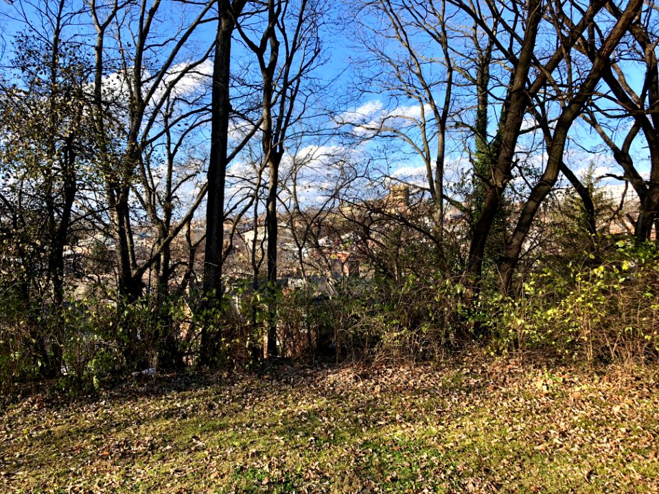 Bellevue Hill Park, CUF, Cincinnati, OH 