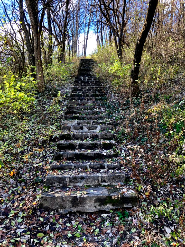 Bellevue Park Steps, CUF, Cincinnati, OH 