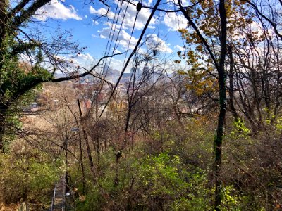 Upper Ohio Avenue Steps, CUF, Cincinnati, OH 