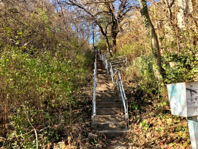 Upper Ohio Avenue Steps, CUF, Cincinnati, OH 