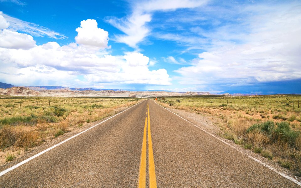 Grass nature road