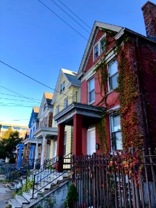 University Avenue, Corryville, Cincinnati, OH 
