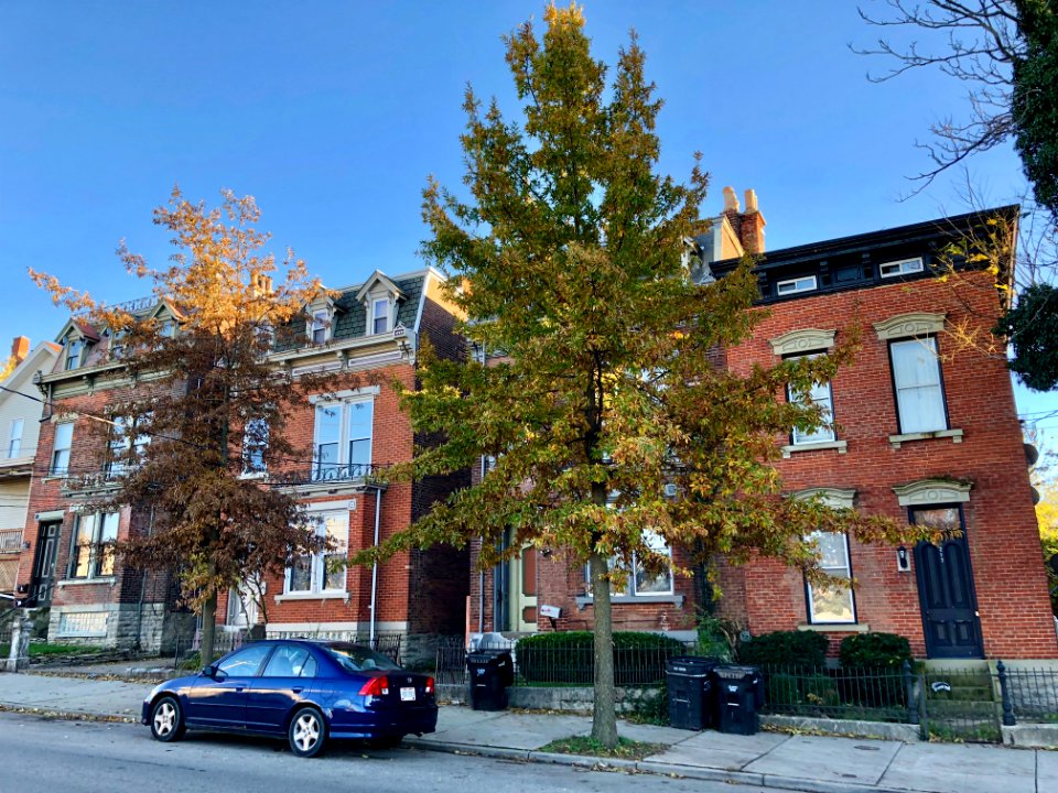 University Avenue, Corryville, Cincinnati, OH 