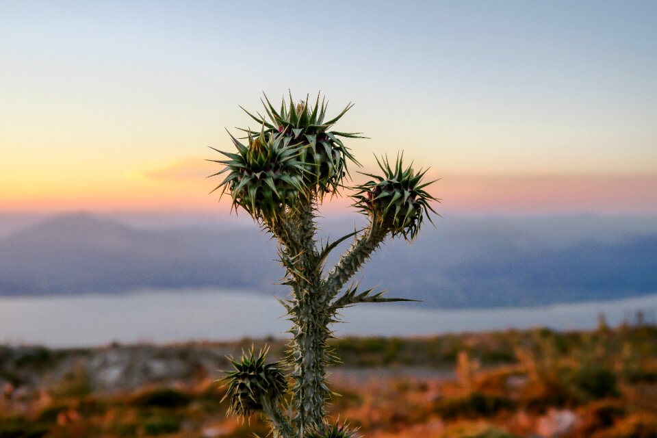 Mountain nature sky