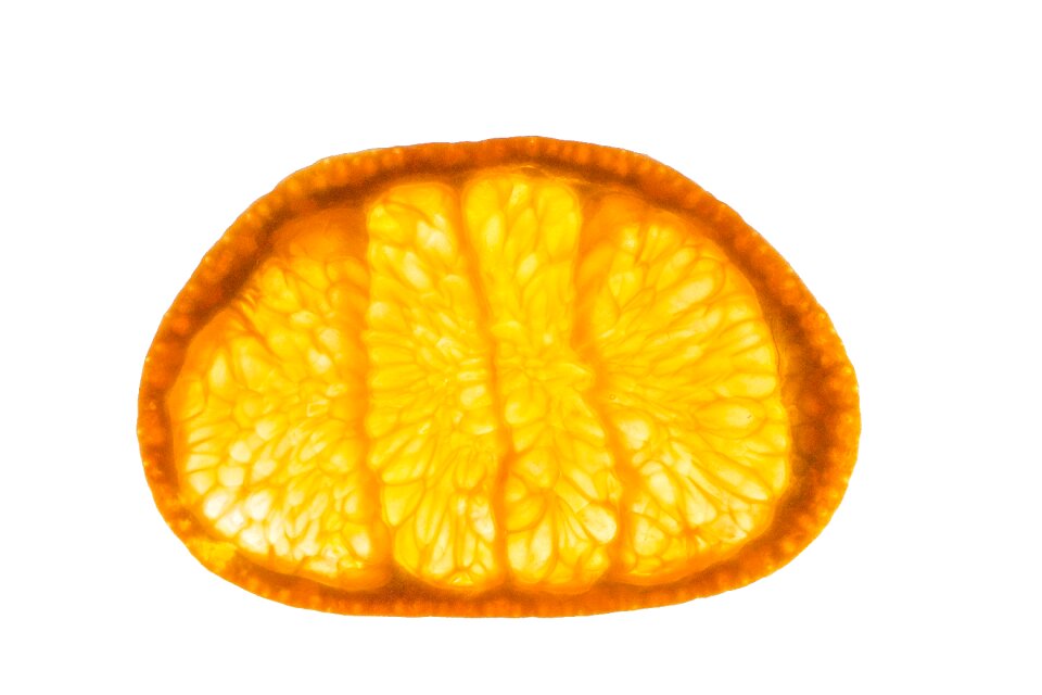 Mandarin orange cross section