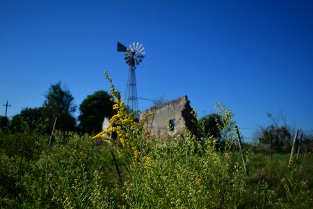 Landscape nature wind